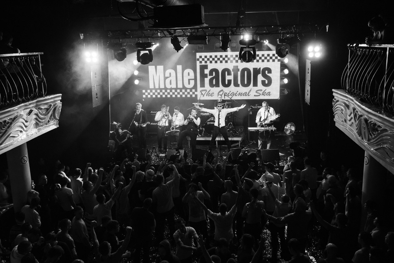 Male Factors. День рождения группы